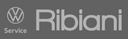 Logo Officina Ribiani Srl